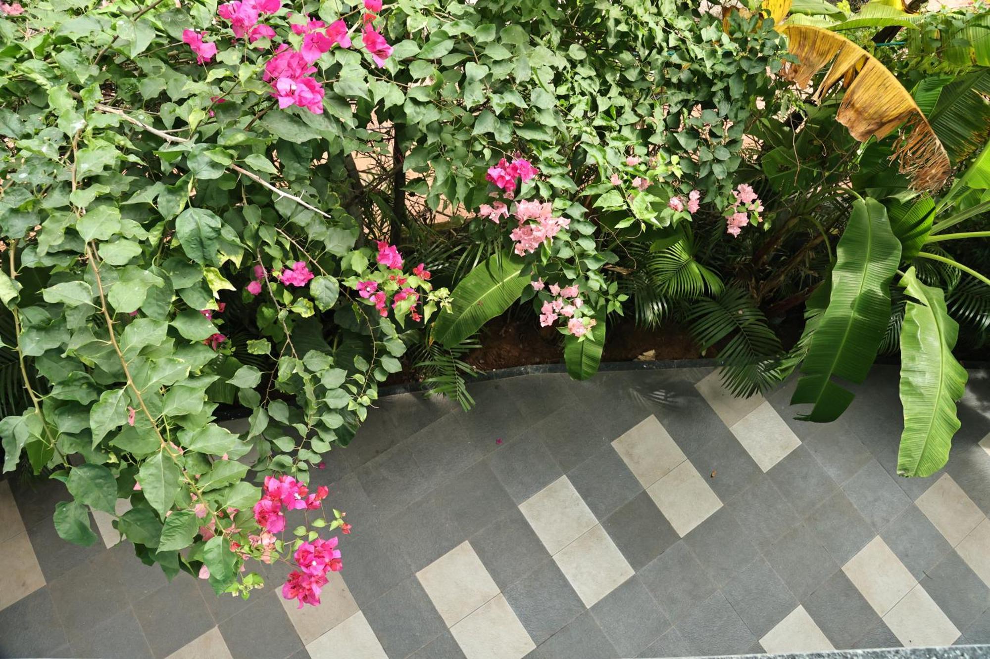 Fusion Home Anjuna Dış mekan fotoğraf